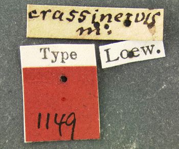 Media type: image;   Entomology 1149 Aspect: labels
